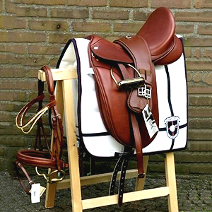 A professional rider on a horse